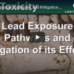 CDC – Lead Exposure Pathways and Mitigation of its Effects (video)
